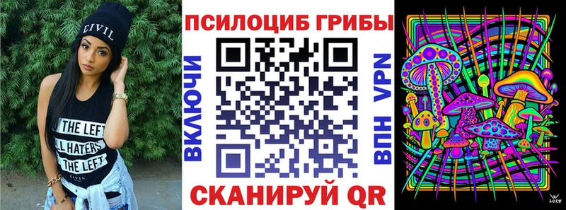 Псилоцибиновые грибы мицелий  omg маркетплейс  Новодвинск 