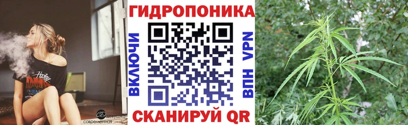 Конопля SATIVA & INDICA Новодвинск